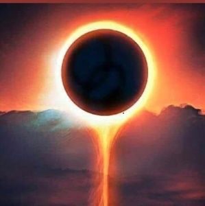 Meet your Posher, Bella